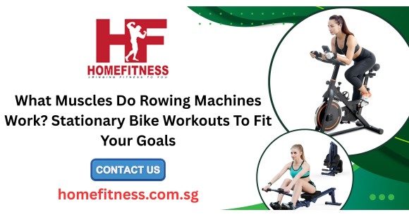 What Muscles Do Rowing Machines Work? Stationary Bike Workouts To Fit Your Goals